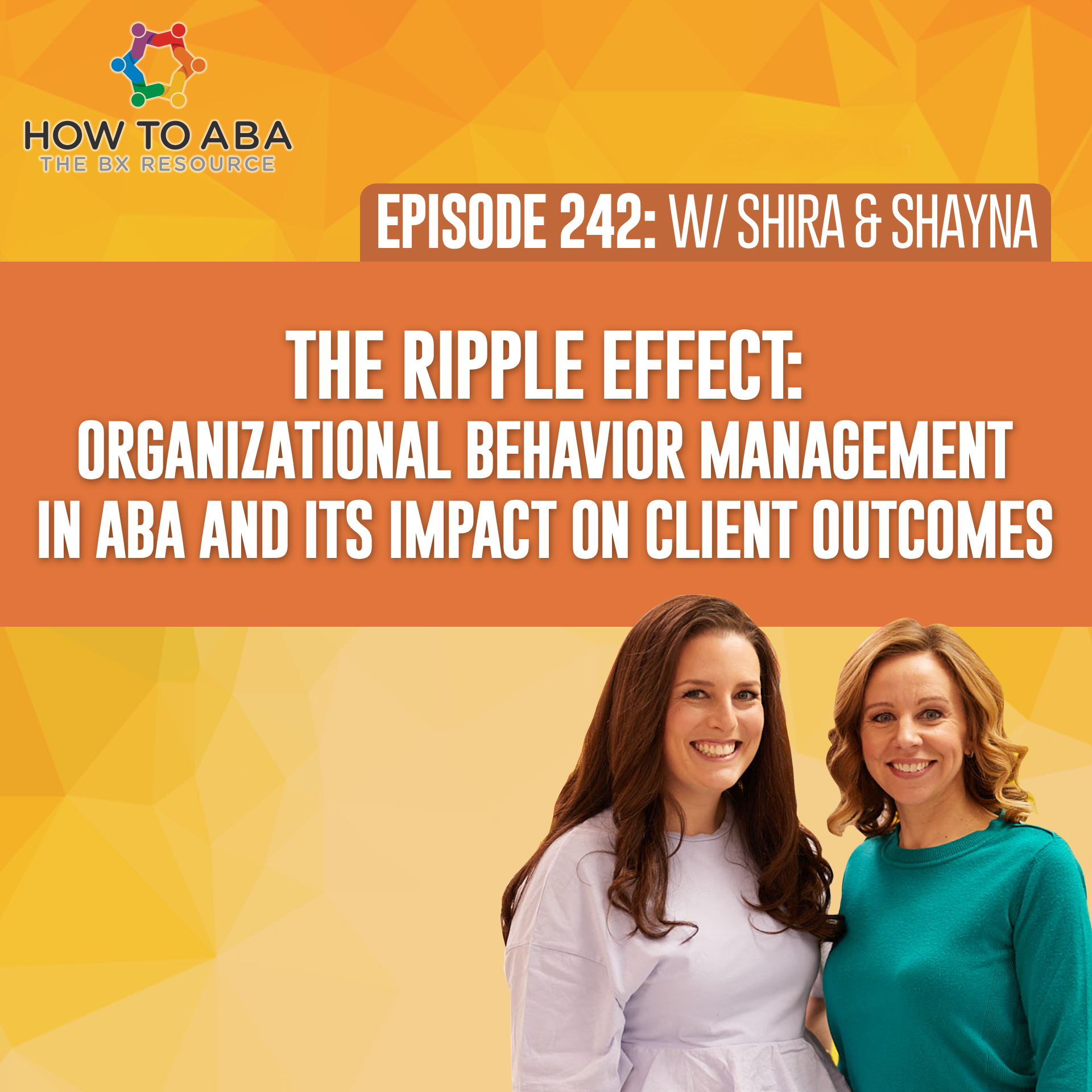 Organizational Behavior Management in ABA